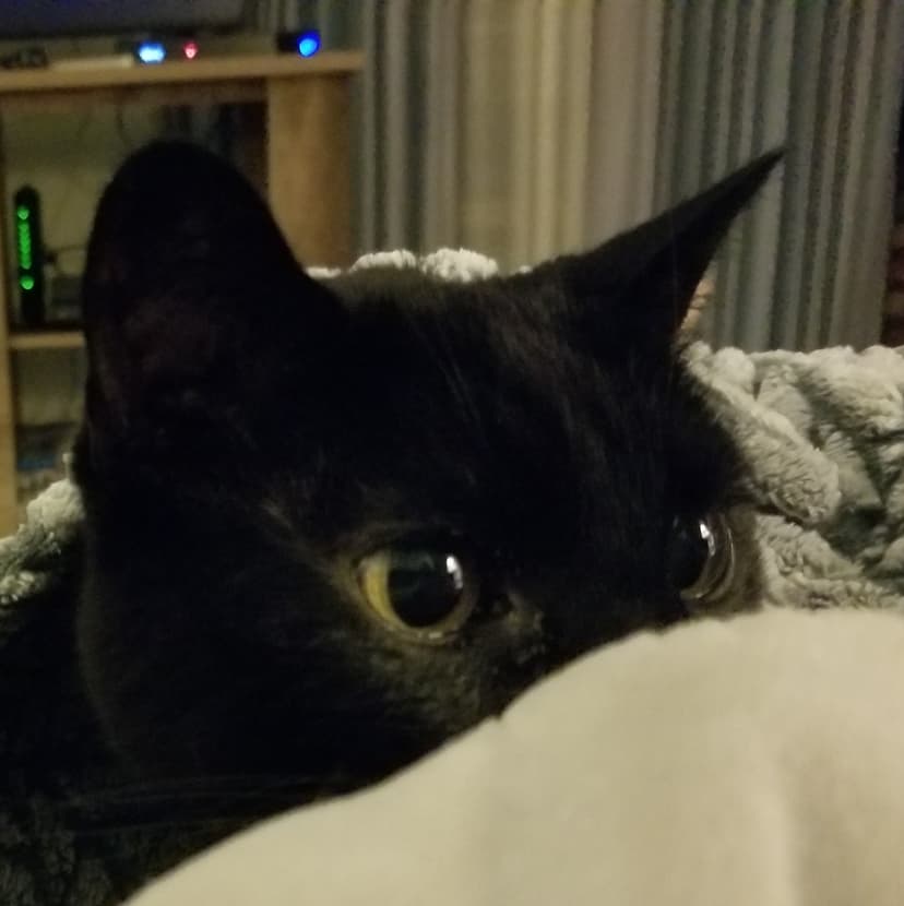 Photo of Padme