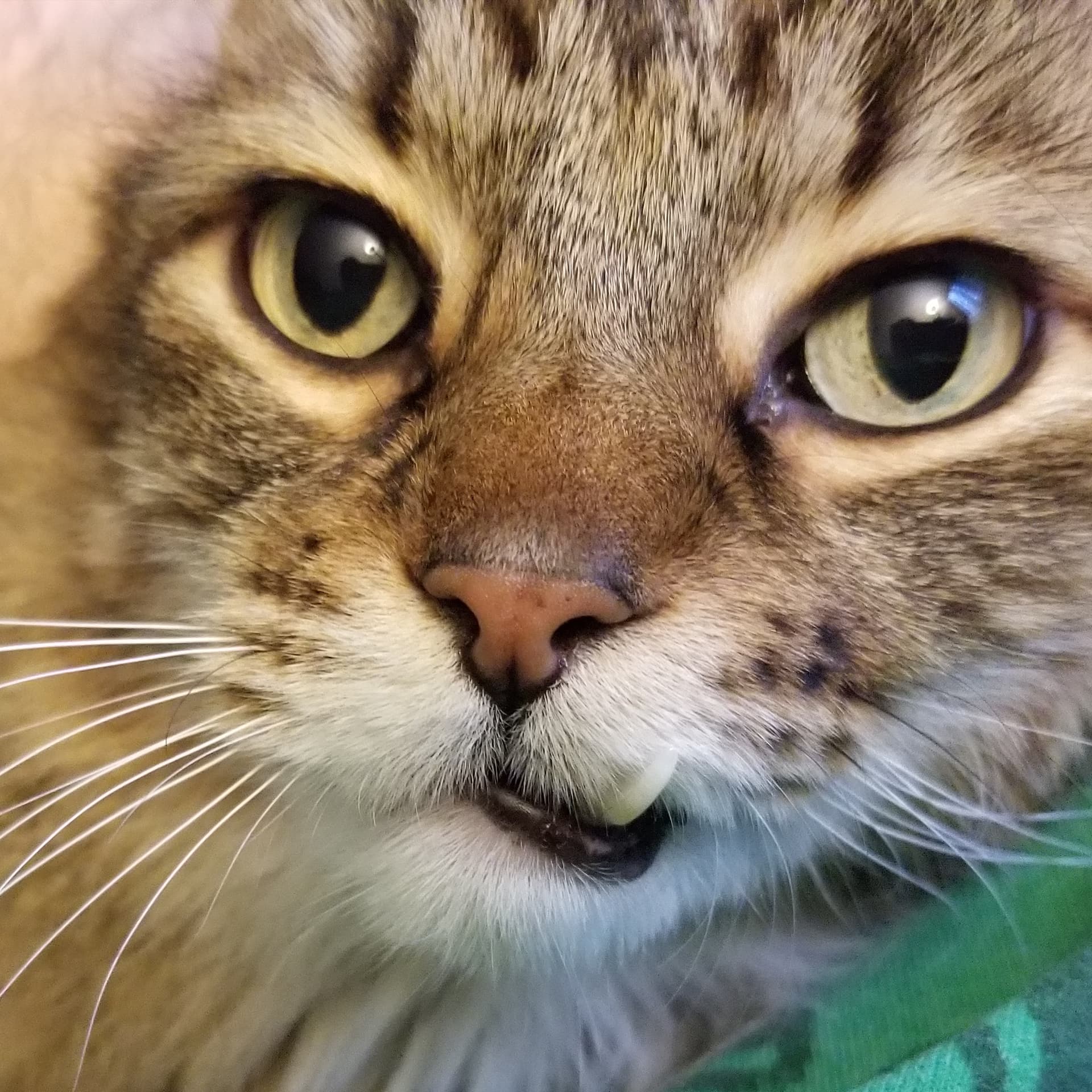 Photo of Grady